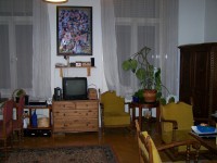 Budapest VIII ker. Népszínház utca    Lucza Tamás 70/528-9391